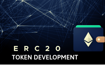 Ethereum ERC20 TOKEN DEVELOPMENT