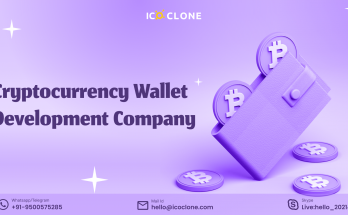 Cryptocurrency wallet development company