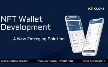 NFT Wallet Development