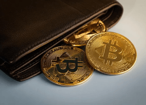 Crypto Wallet Development