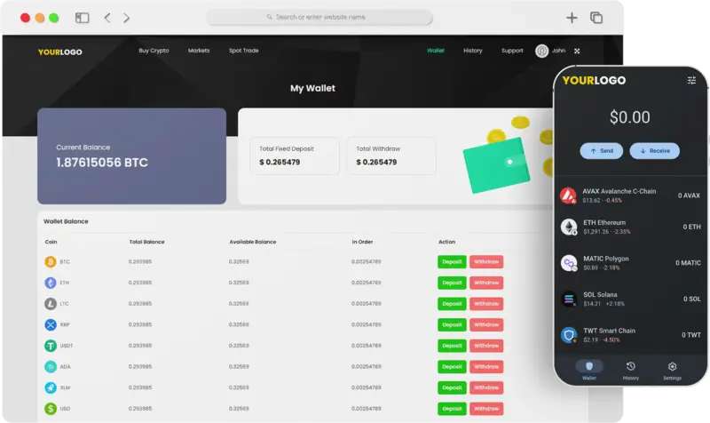 Cryptocurrency Wallet Development Company